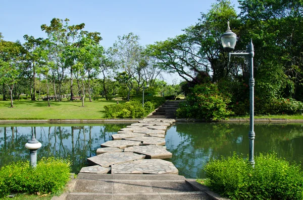 Caminar a través del estanque en el parque . — Foto de Stock