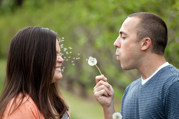 Young Couple Blowing Dandelions — Stock Photo, Image