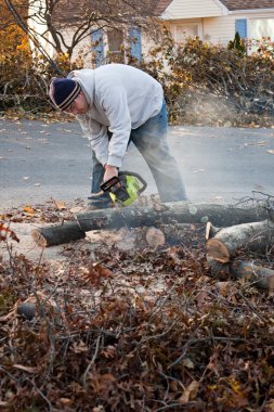 Man Cuts Tree Limbs with a Chainsaw clipart
