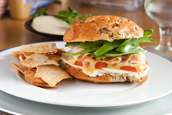 Lahodné krůtí sendvič a pita čipy — Stock fotografie