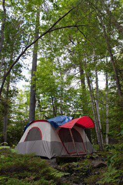 Forest Tent Camping clipart