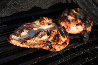 Grilled Chicken Breasts clipart