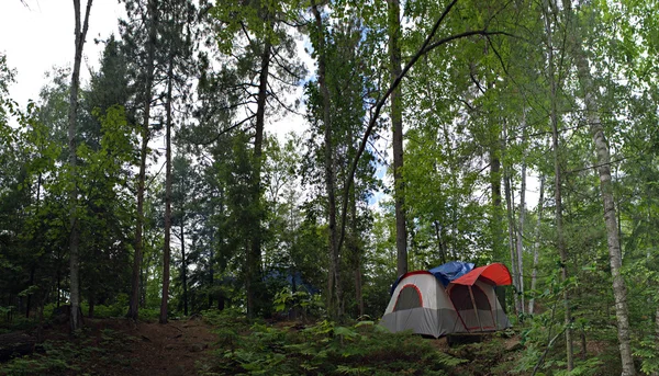 Campeggio tenda forestale — Foto Stock