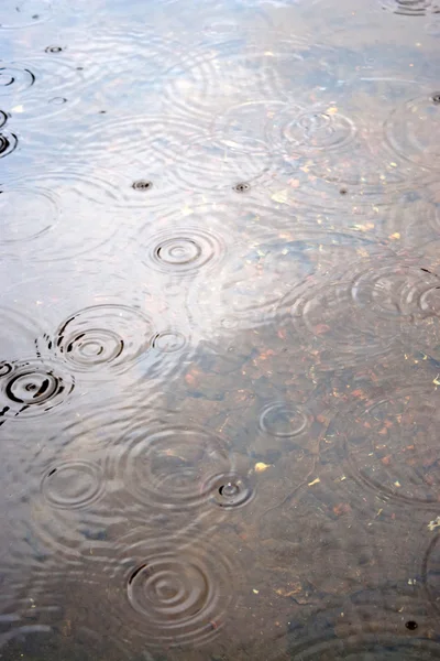빗방울 물 파문 — 스톡 사진