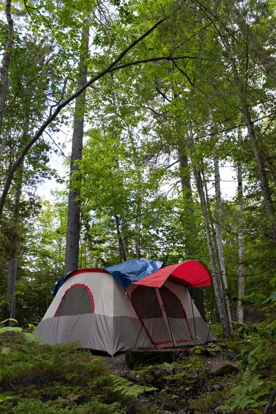 Лесной палаточный лагерь — стоковое фото