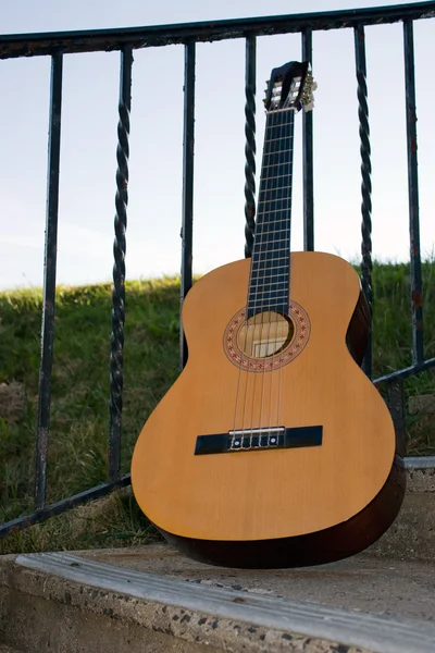 Guitarra acústica —  Fotos de Stock