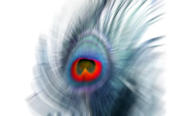 Abstract Peacock Layout — Stock Photo, Image