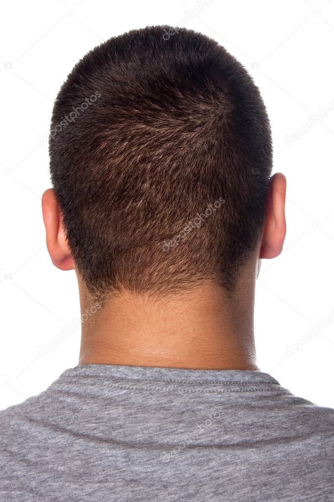 Back of a Young Mans Head