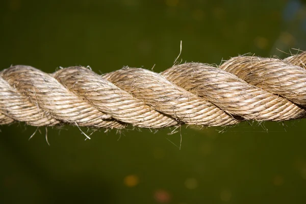 Primer plano de la cuerda — Foto de Stock