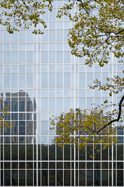 Gebäude aus Glas — Stockfoto