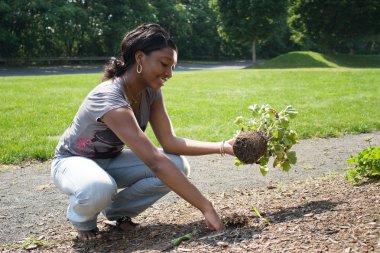 Woman Planting Flowers clipart