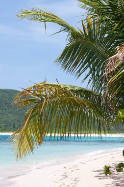 Flamenco Beach Culebra clipart