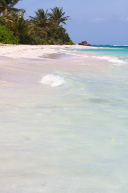 Flamenko beach culebra