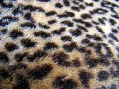 leopar baskı