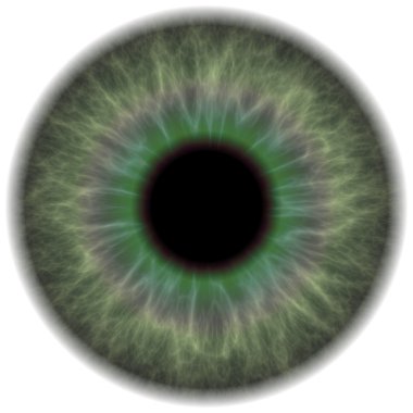 Green Eye Iris clipart