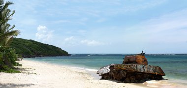 Flamenko beach ordu tank