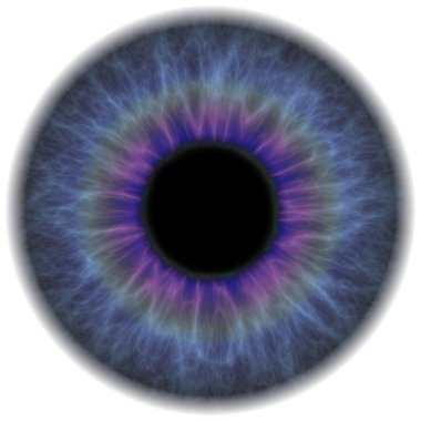 Human eye clipart