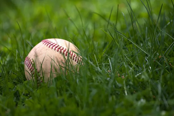 Béisbol en la hierba —  Fotos de Stock