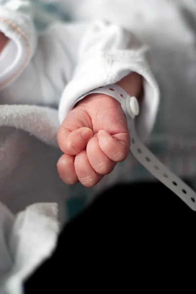 Main de bébé nouveau-né — Photo