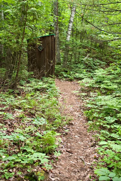 Старый Outhouse в лесу — стоковое фото