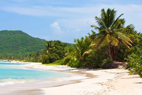 Culebra ostrov flamenco beach — Stock fotografie