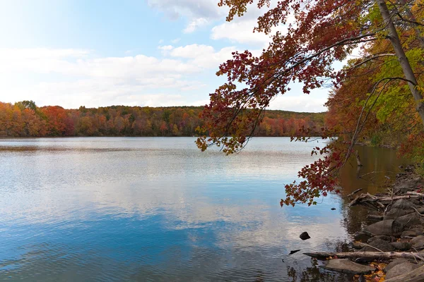 New England Fall Foliage — Stock Photo, Image