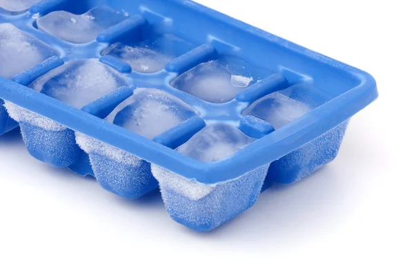 Befagyasztott jégkocka tálcát — Stock Fotó