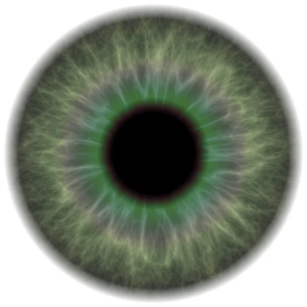 Iris mit grünem Auge — Stockfoto