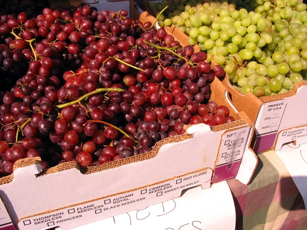 Frische Trauben — Stockfoto