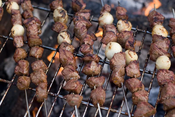 Kebabs de shish — Fotografia de Stock