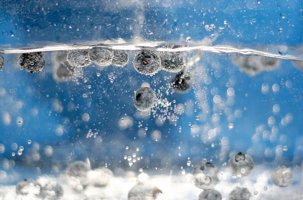 水のブルーベリー — ストック写真