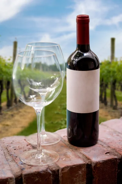 Виноградник пляшку вина — стокове фото