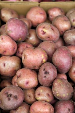 Red Potatoes clipart