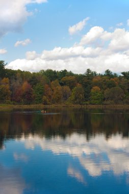 Connecticut Autumn Foliage clipart