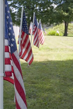 Row of Flags clipart