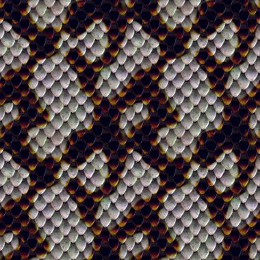 Snake Skin Texture clipart