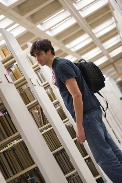 Searching the Library — Stock Photo, Image