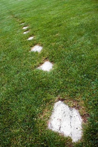 Stone Foot Path — Stock Photo, Image