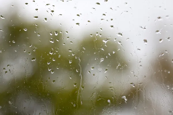 雨季窗口窗格 — 图库照片