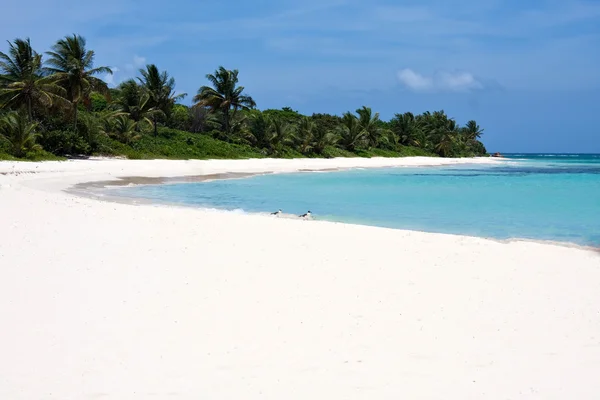 Playa Flamenca Isla Culebra Puertorriqueña — Foto de Stock
