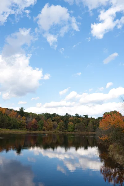 Connecticut herfst gebladerte — Stockfoto