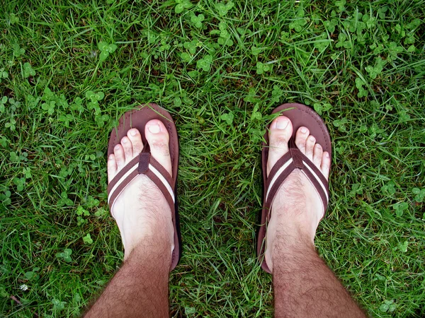 stock image Feet in grass