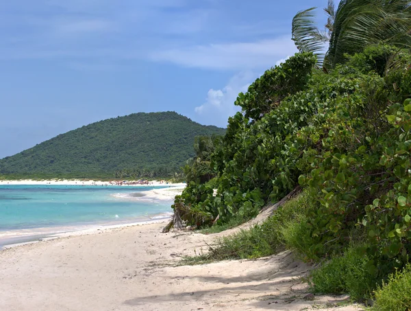 Wyspy Culebra flamenco beach — Zdjęcie stockowe
