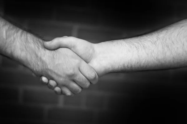 しっかりと握手 — ストック写真