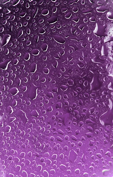 Water Droplets — Stock Photo, Image