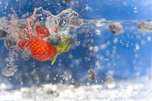 stock image Summer Berries