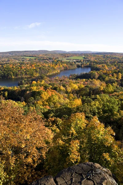 Пиковая листва в Новой Англии — стоковое фото