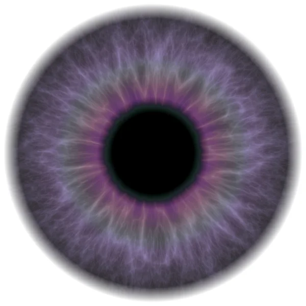 Paarse eye iris — Stockfoto