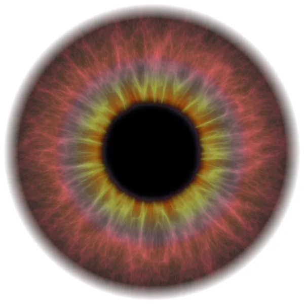 Iride oculare — Foto Stock