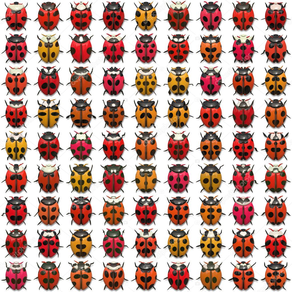 Ladybugs Pattern